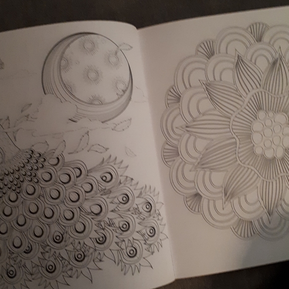 NWT - Garden Colouring Book - Picture 7 of 8